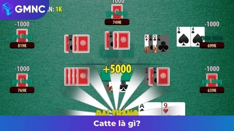 Catte là gì?