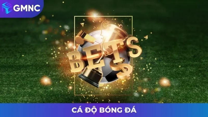 Cá độ bóng đá là gì?